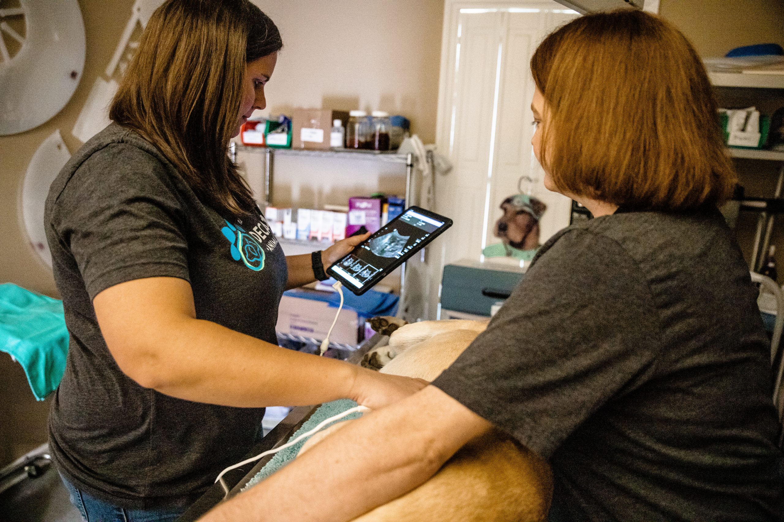 Ultrasound Decatur, AL