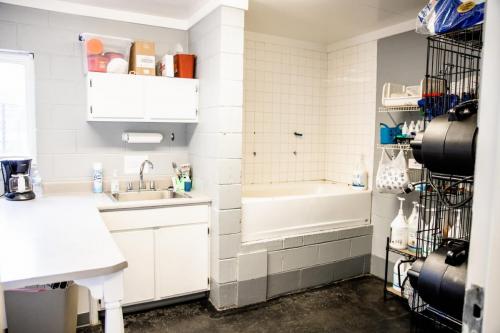 Grooming Room 